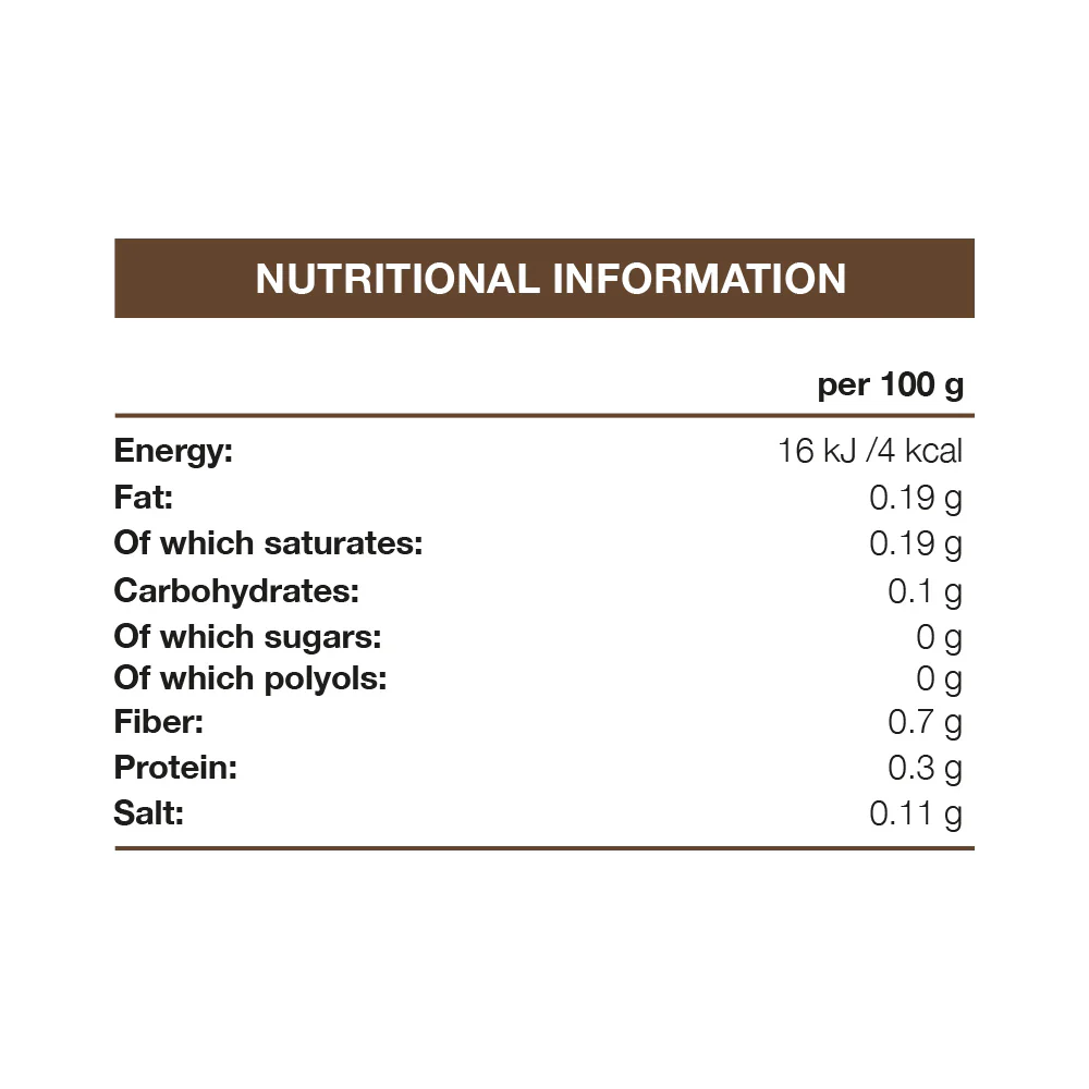 FitnFood Syrup Chocolat (425 ml) - Image 2