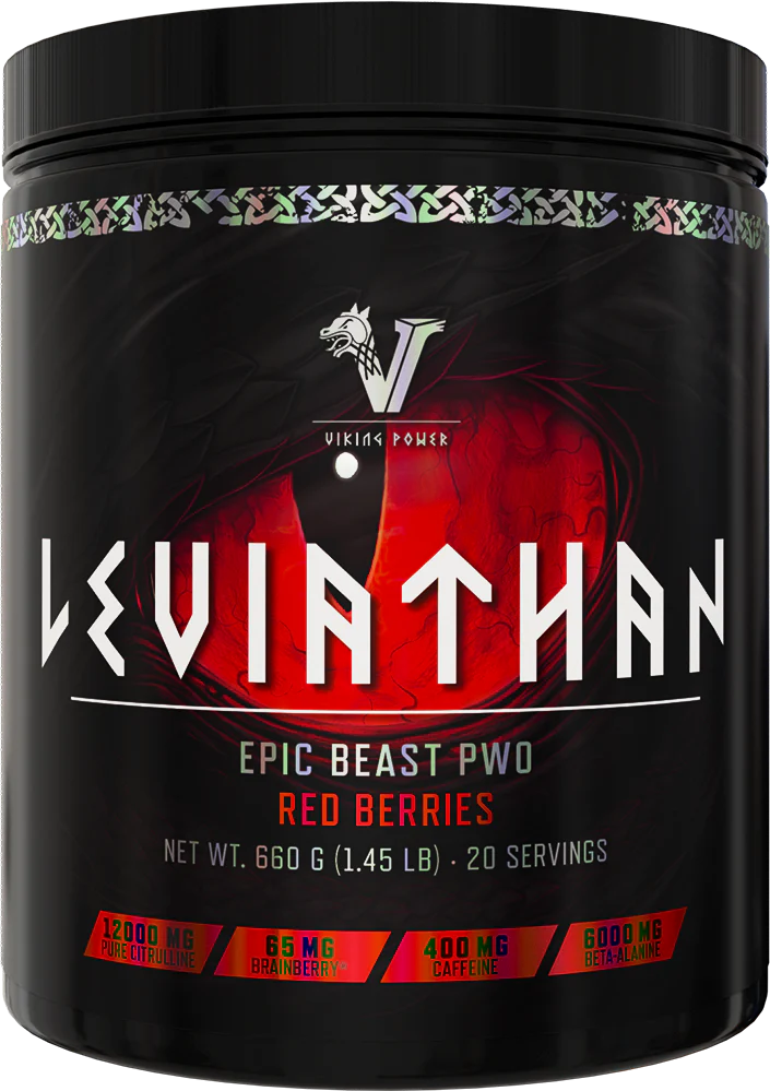 Viking Power Leviathan Hardcore PWO - Image 3